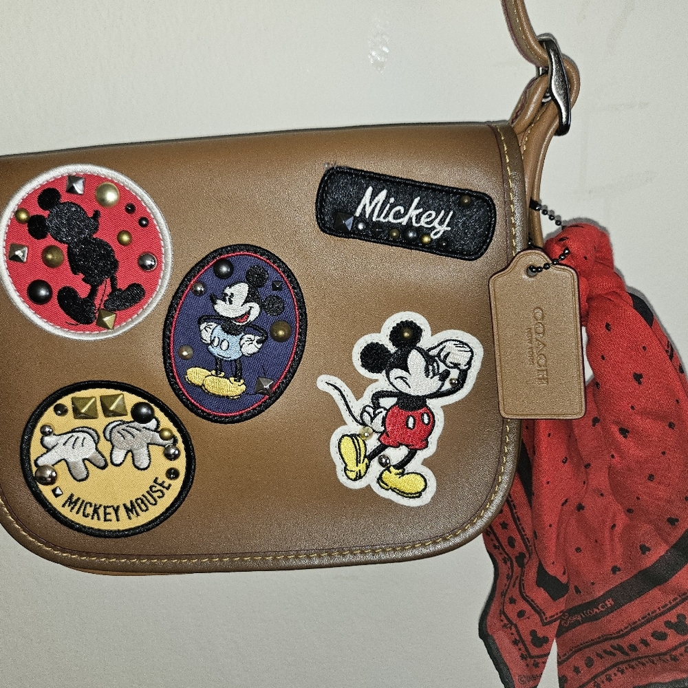 Coach Mickey - Picture 3 of 11
